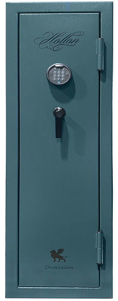 Hollon Dominion Series - DOM 11